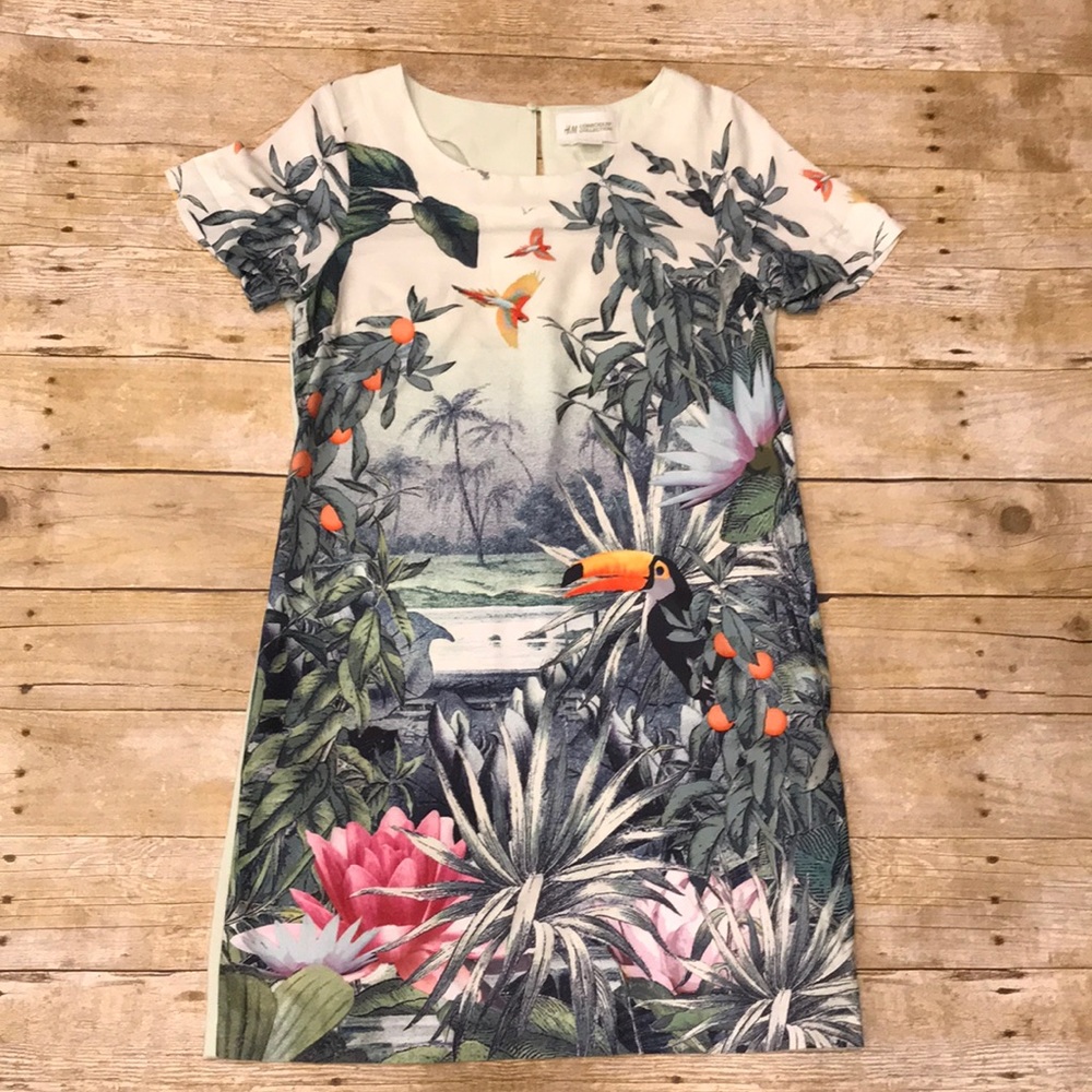 H&M Conscious Collection Dress Size 6
